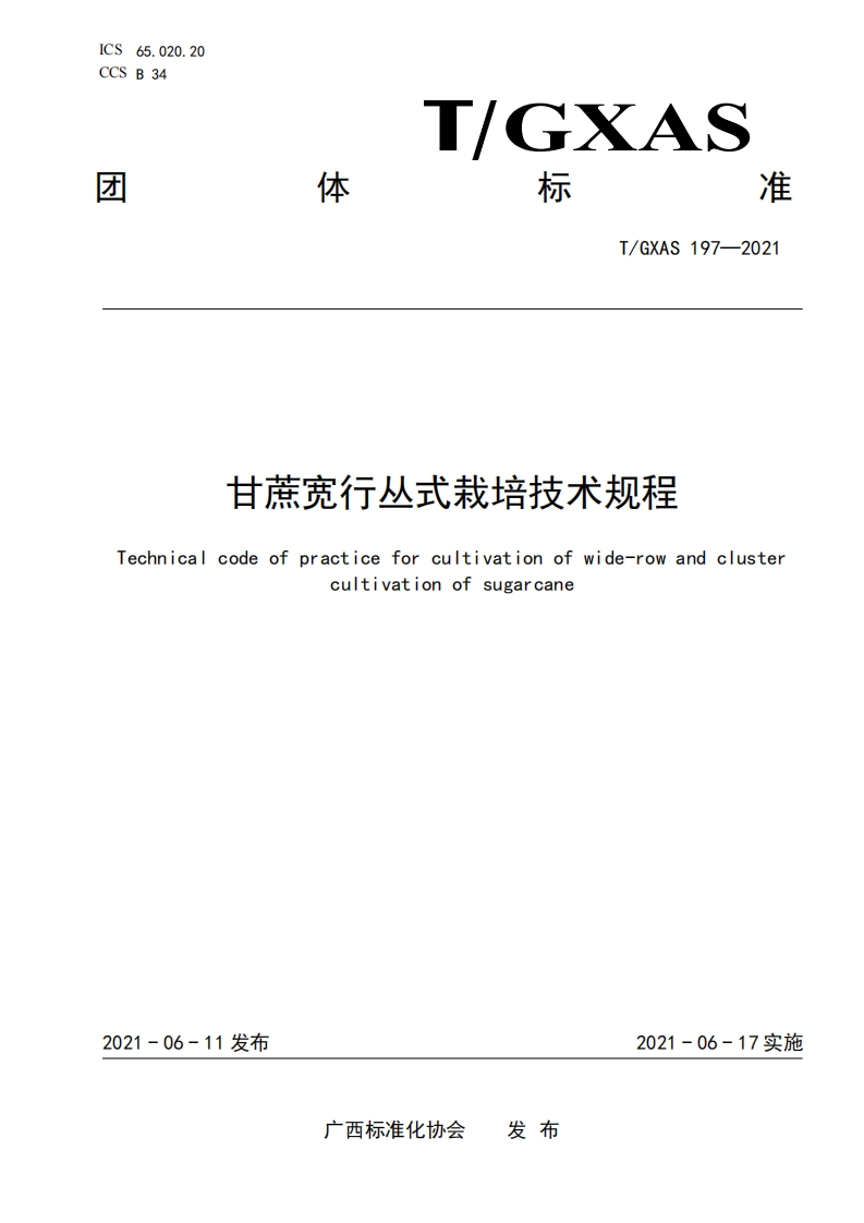 T_GXAS197-2021甘蔗宽行丛式栽培技术规程