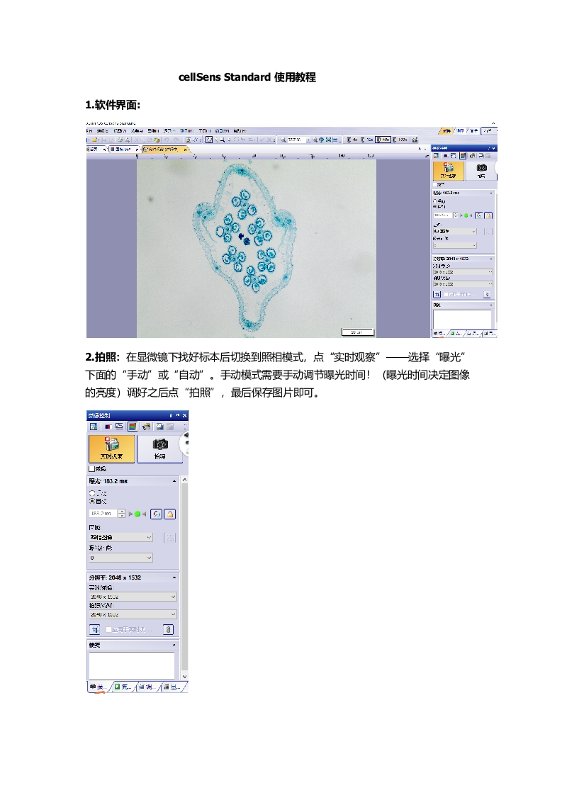cellSensStandard使用教程