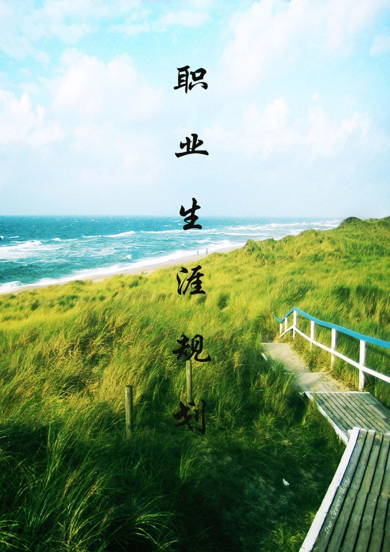 《职业生涯规划》-水利专业