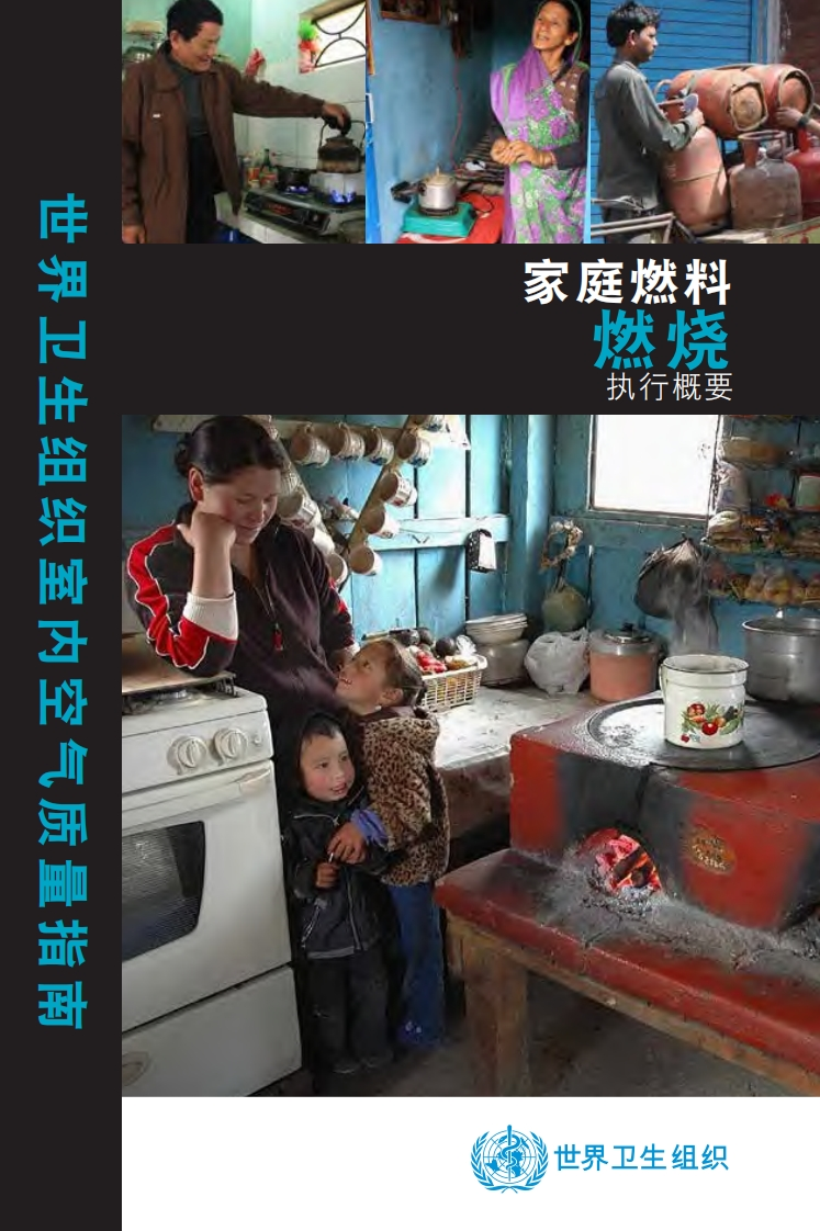 世界卫生组织室内空气质量指南：家庭燃料燃烧执行概要现行国家强制性标准规范