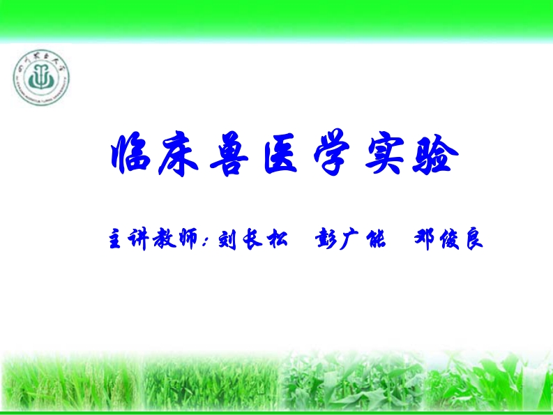 临床兽医学实验