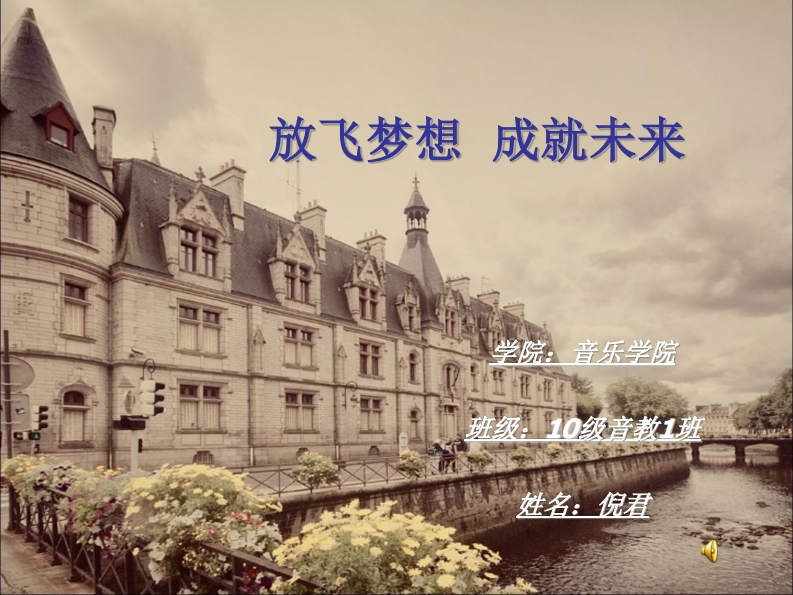 关于音乐-我的职业生涯规划