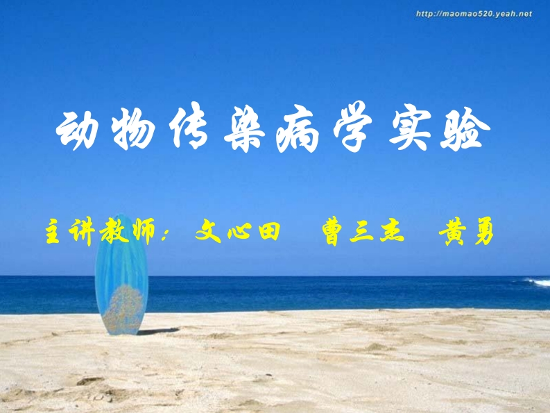 动物传染病实验