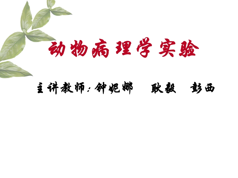 动物病理学实验