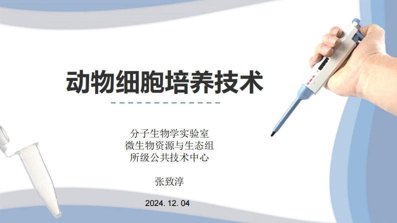 动物细胞培养技术