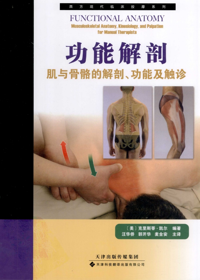 医药_功能解剖肌与骨骼的解剖、功能及触诊