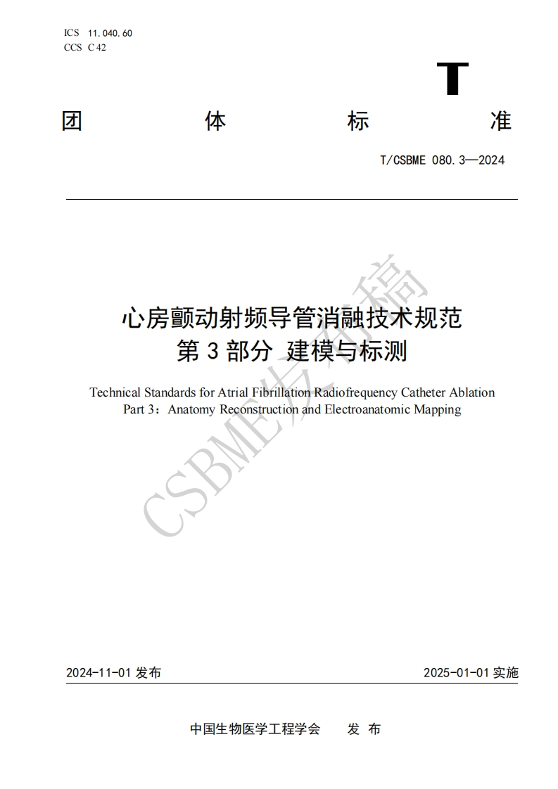 发布稿：第三部分建模与标测(1)