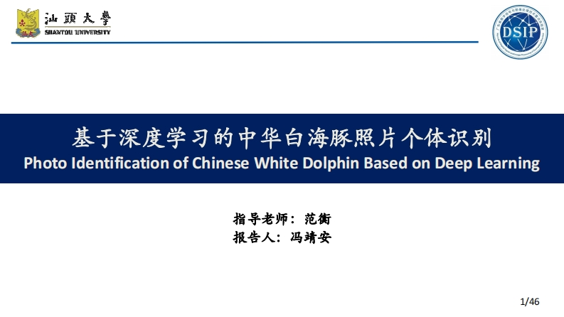 基于深度学习的中华白海豚照片个体识别_冯靖安