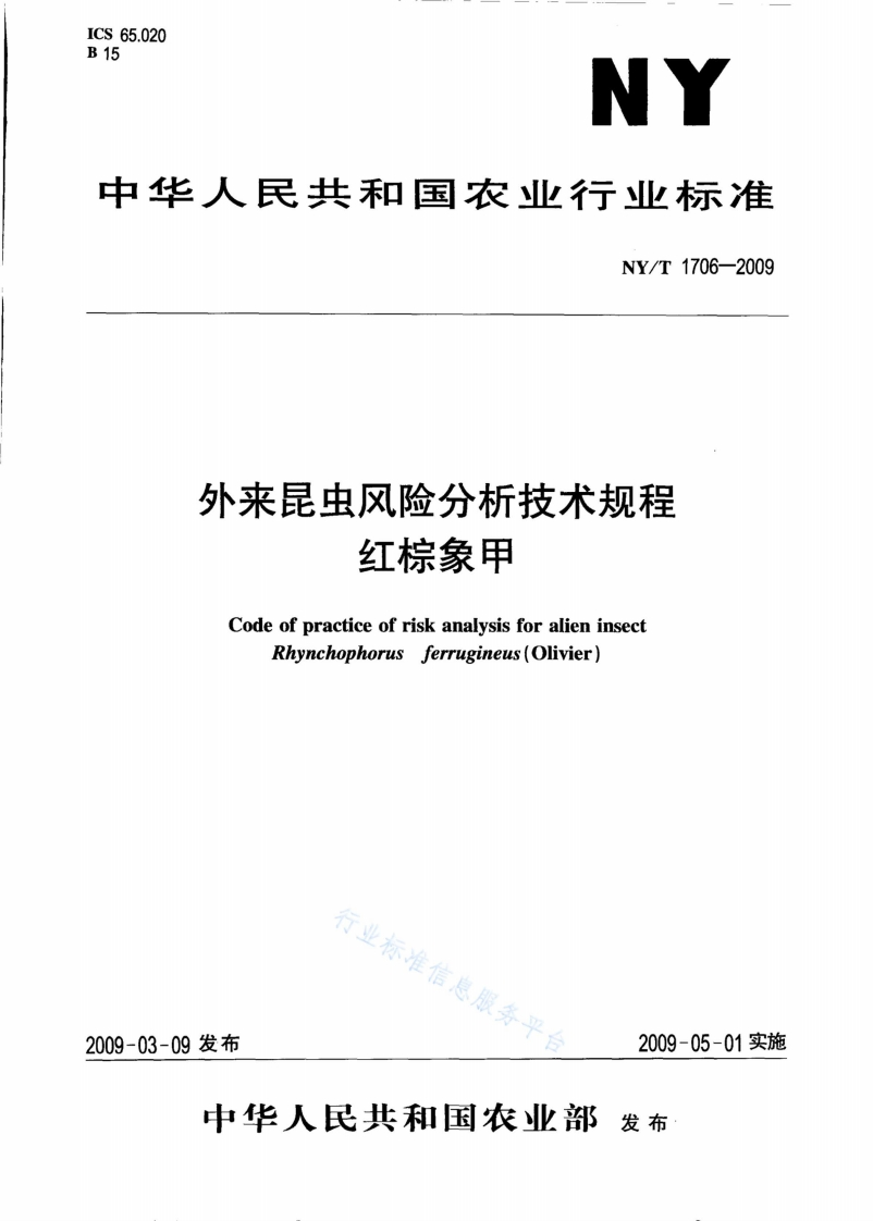 外来昆虫风险分析技术规程-红棕象甲