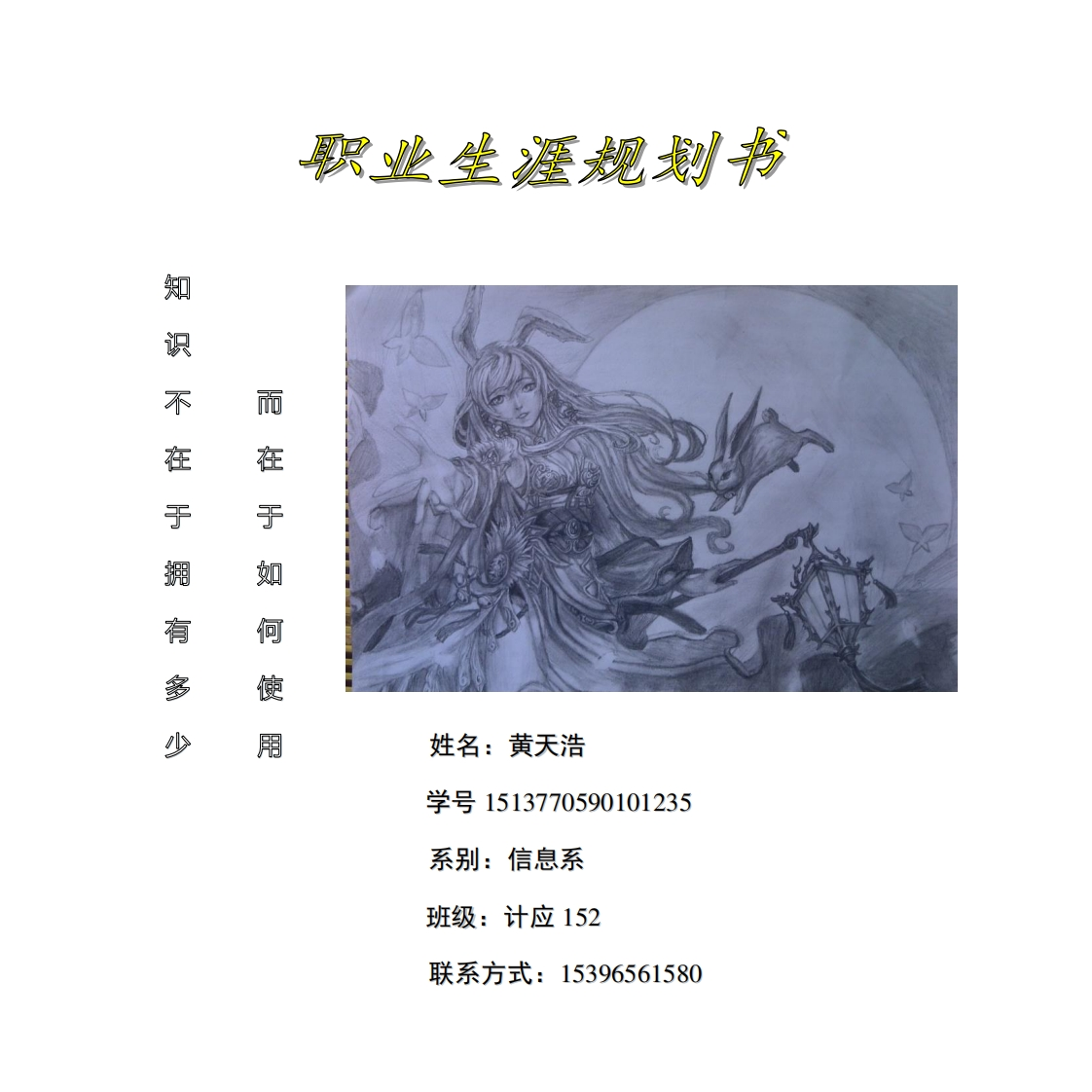 多媒体专业职业生涯规划书三十五