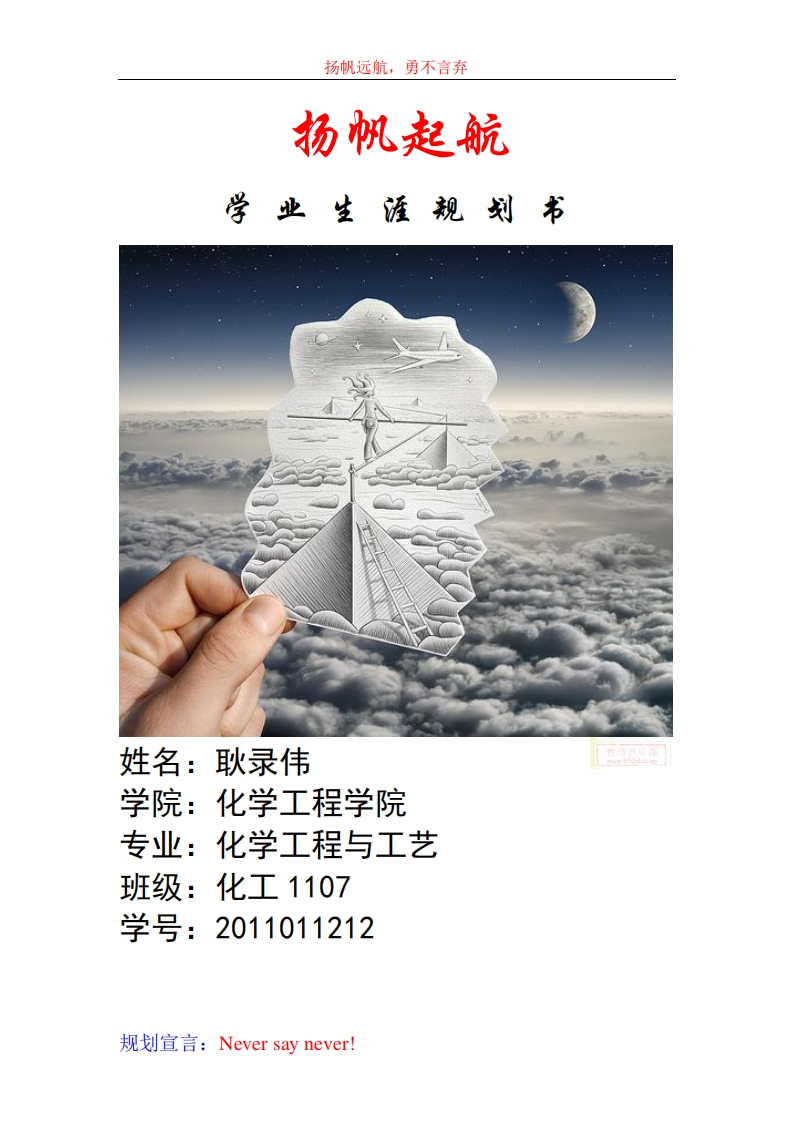 大学生学业生涯规划书-化工