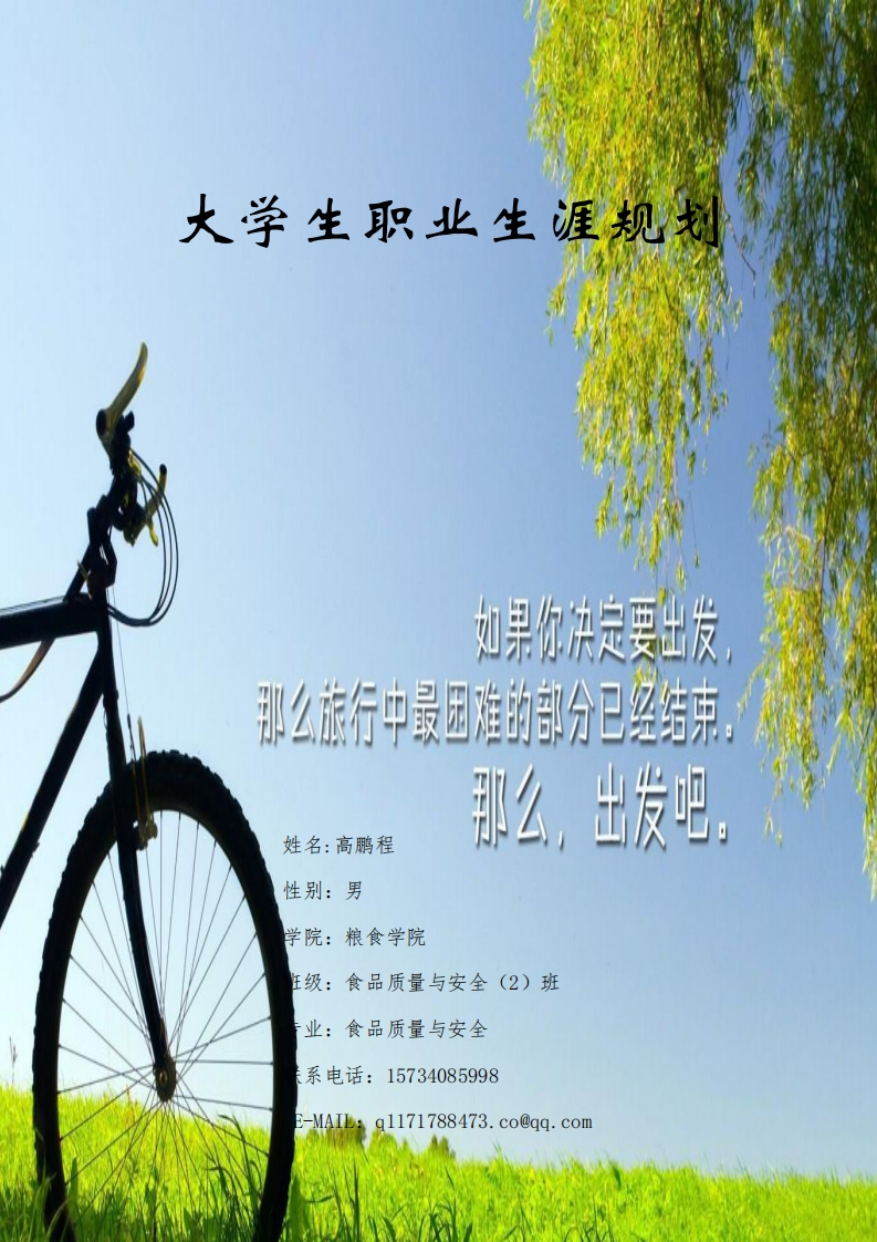 大学生职业生涯规划_2
