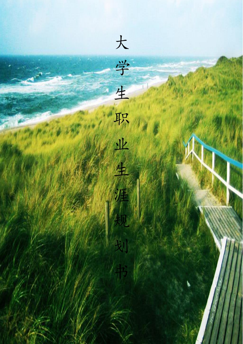 大学生职业生涯规划书——任冠华