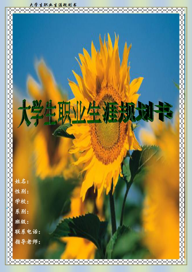 大学生职业生涯规划书电子商务专业