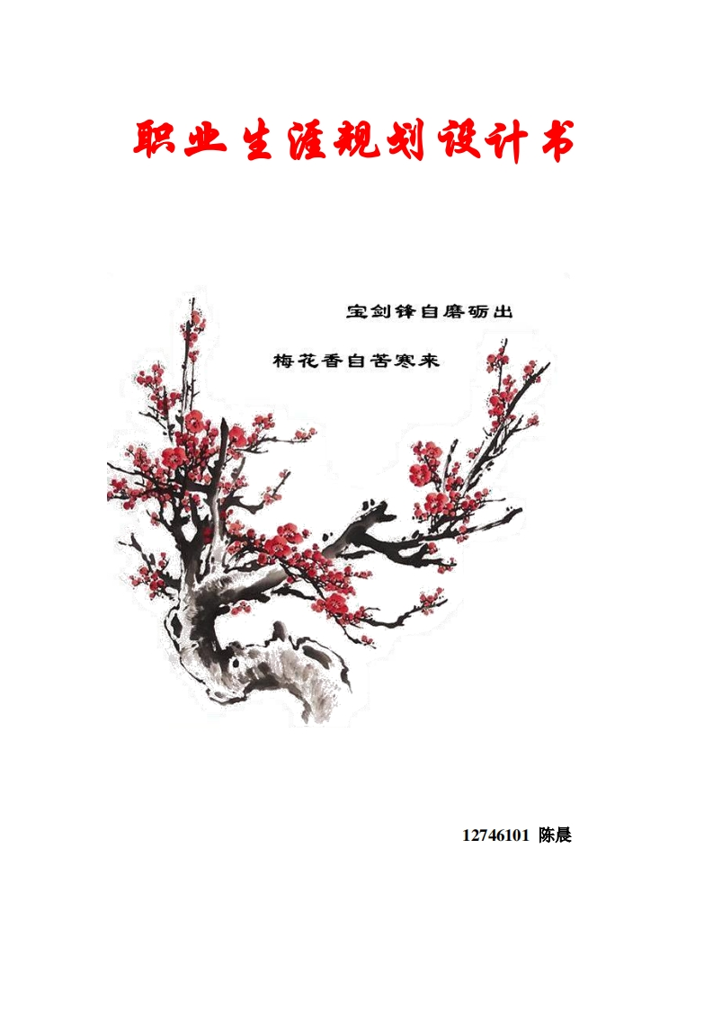 大学生职业生涯规划视觉传达专业