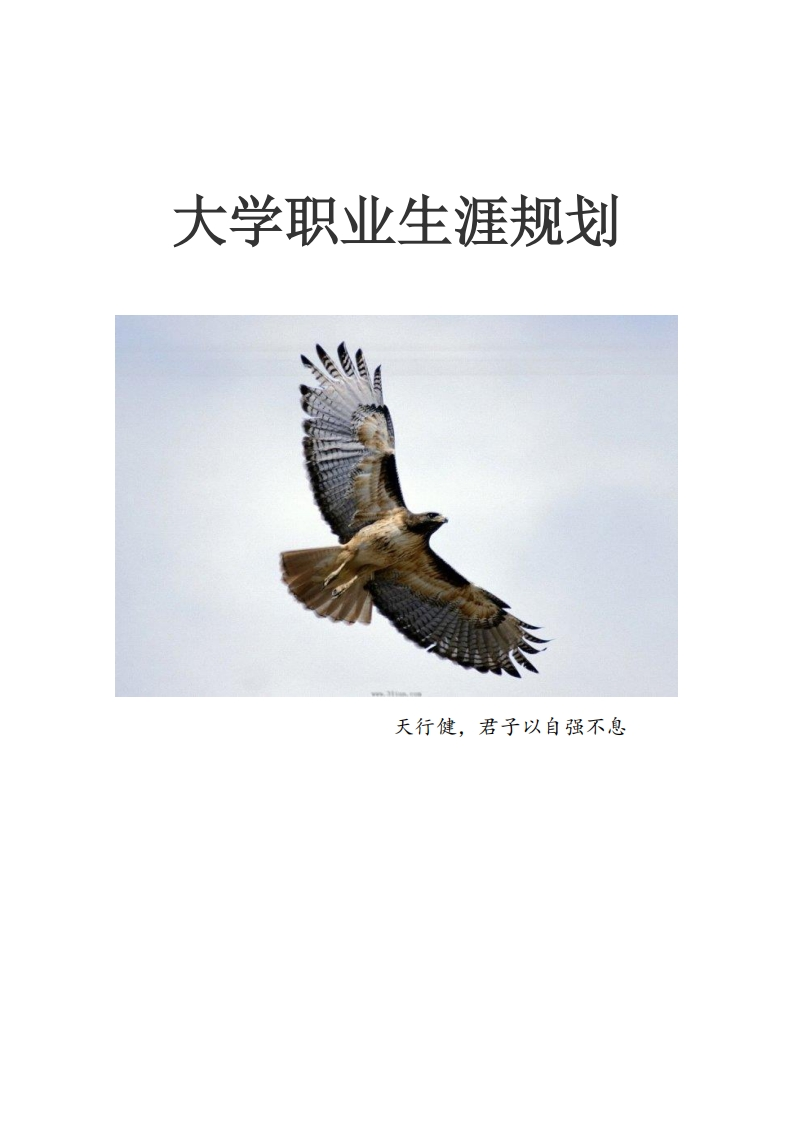 大学职业生涯规划