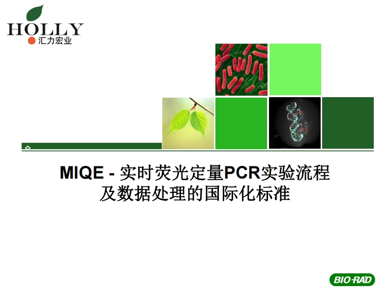实时荧光定量PCR实验流程实时荧光定量PCR实验流程