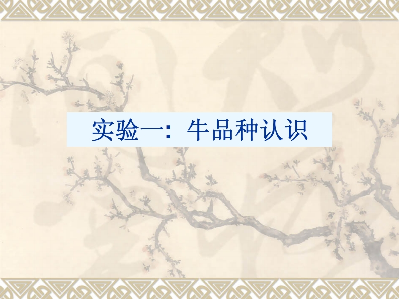 实验一-牛品种认识