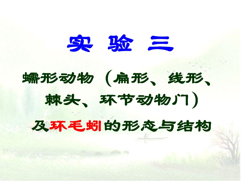 实验三-(扁形、线形、-蠕形动物-棘头、-环节动物门-及环毛蚓的形态与结构