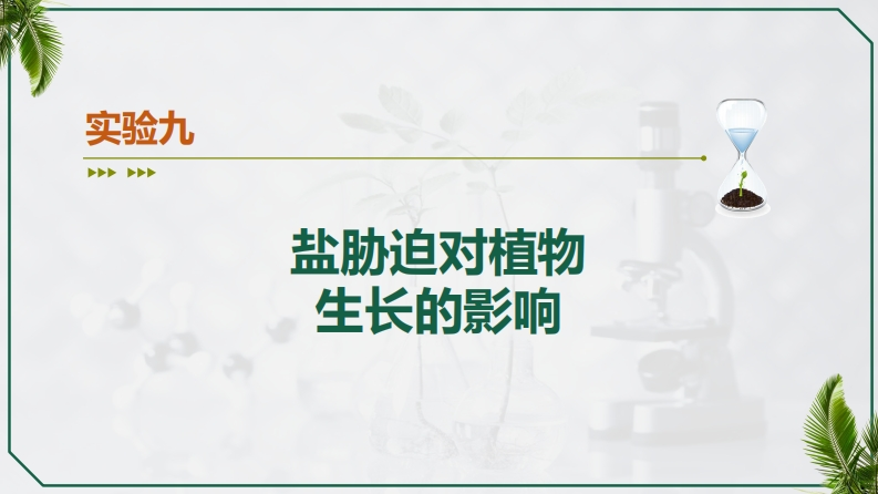 实验九-2-D-盐胁迫对植物-生长的影响