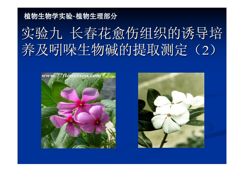 实验九-长春花愈伤组织的诱-养及吲哚生物碱的提取测定-fomeisecCO!-1