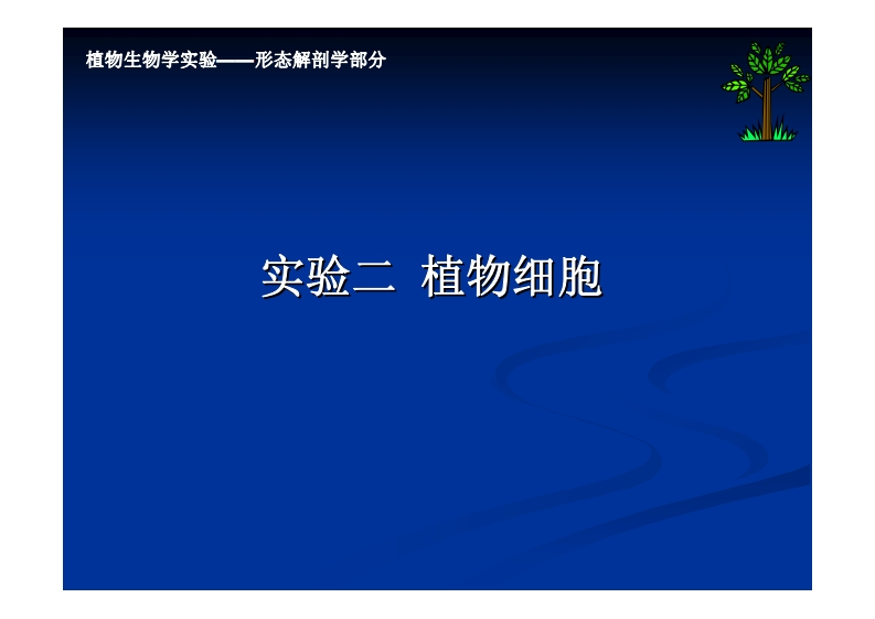 实验二-植物细胞