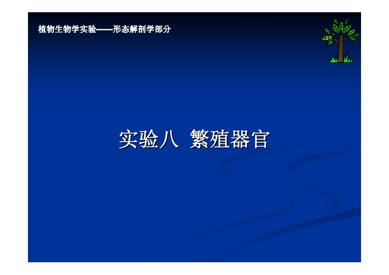 实验八-繁殖器官