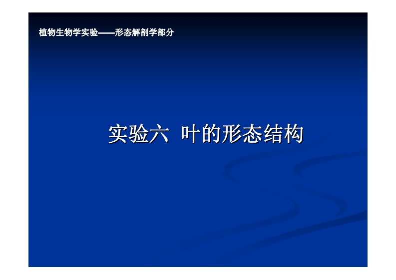 实验六-叶的形态结构