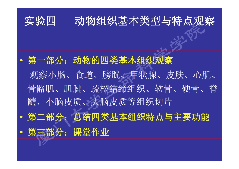 实验四：动物组织的形态与观察课件