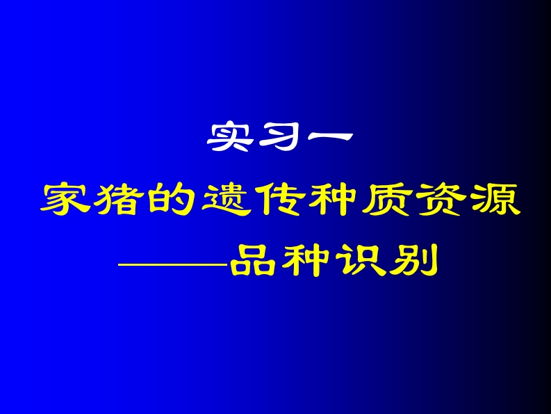 家猪的遗传种质资源
