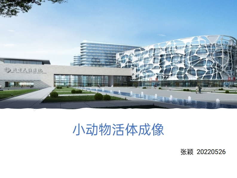 小动物活体成像新质力文库 - 聚焦新质生产力发展的数字化知识库_行业洞察 / 理论成果 / 实践指南免费下载新质力文库