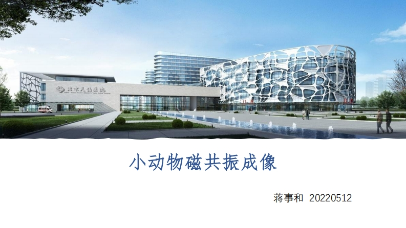 小动物磁共振成像