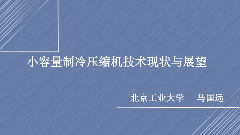 小容量压缩机技术现状与展望-马国远