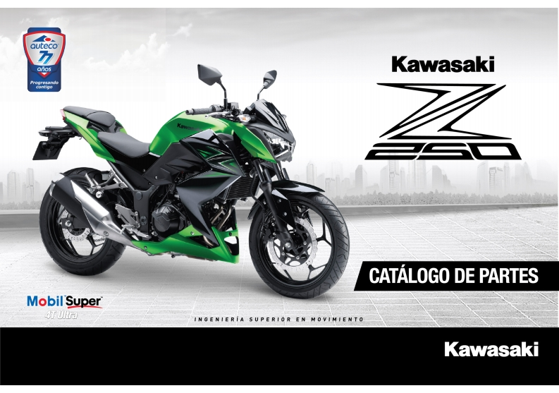 川崎Z250-BICILINDRICA-ABRIL-2018