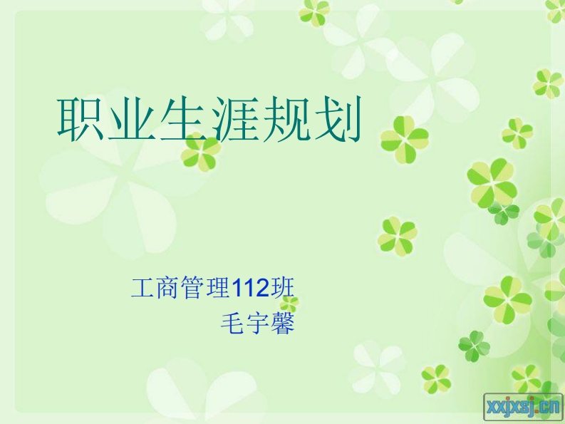 工商管理专业职业生涯规划