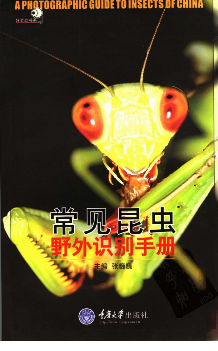 常见昆虫野外识别手册新质力文库 - 聚焦新质生产力发展的数字化知识库_行业洞察 / 理论成果 / 实践指南免费下载新质力文库