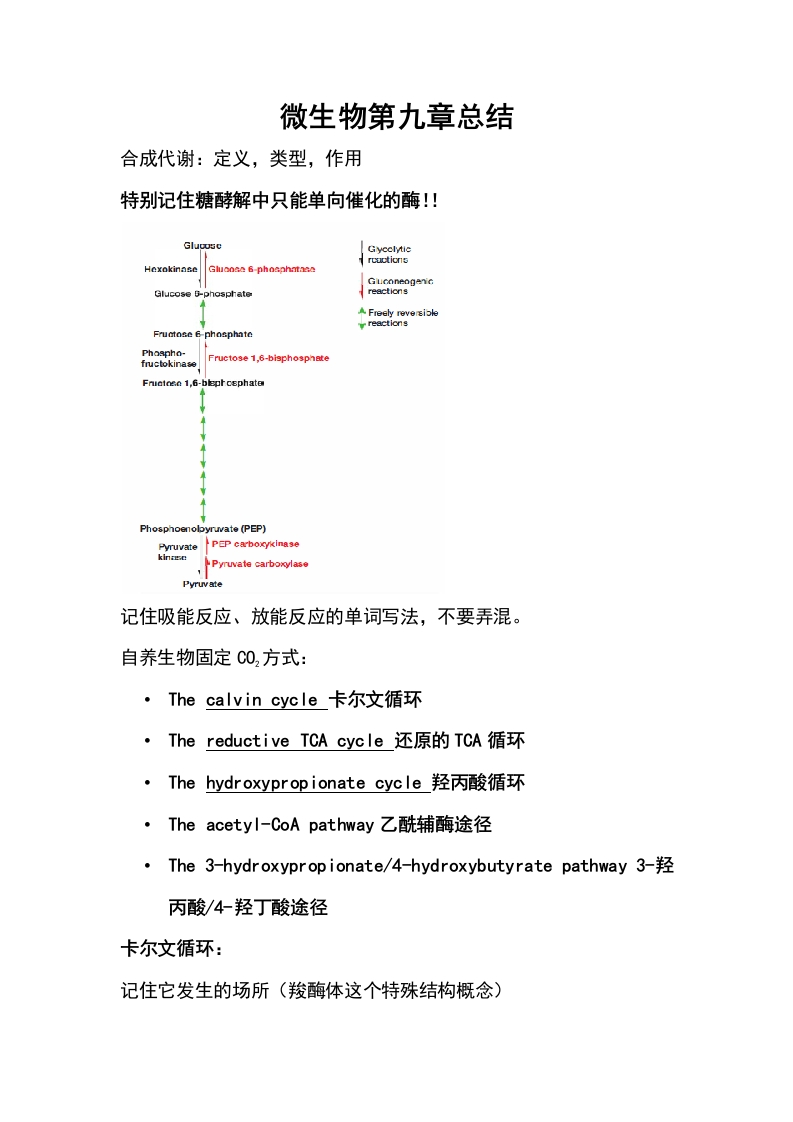 微生物第九章总结