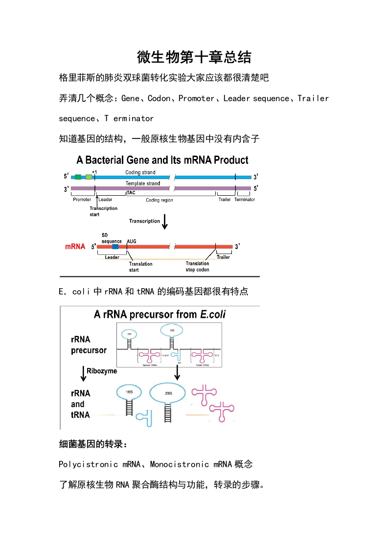 微生物遗传与生态总结