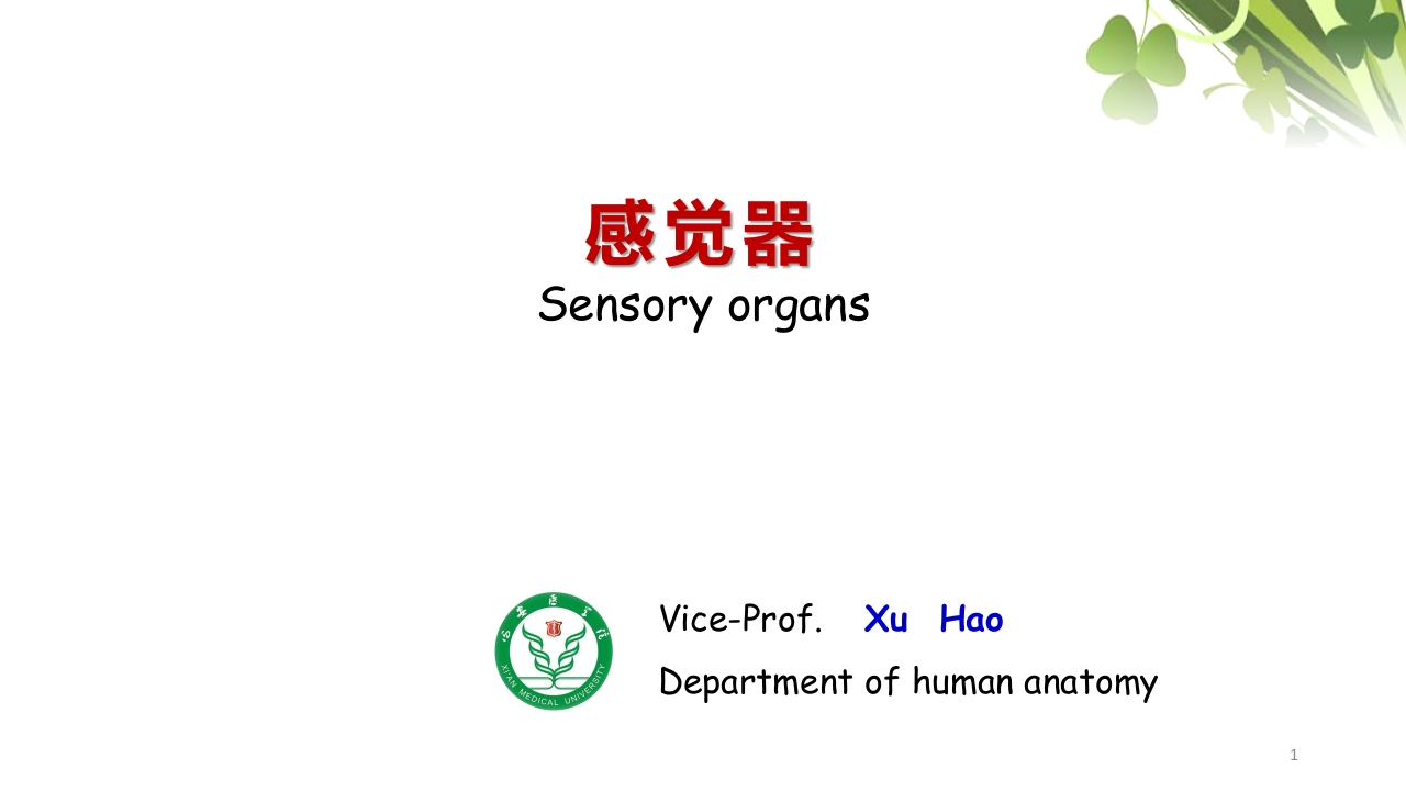 感觉器新质力文库 - 聚焦新质生产力发展的数字化知识库_行业洞察 / 理论成果 / 实践指南免费下载新质力文库