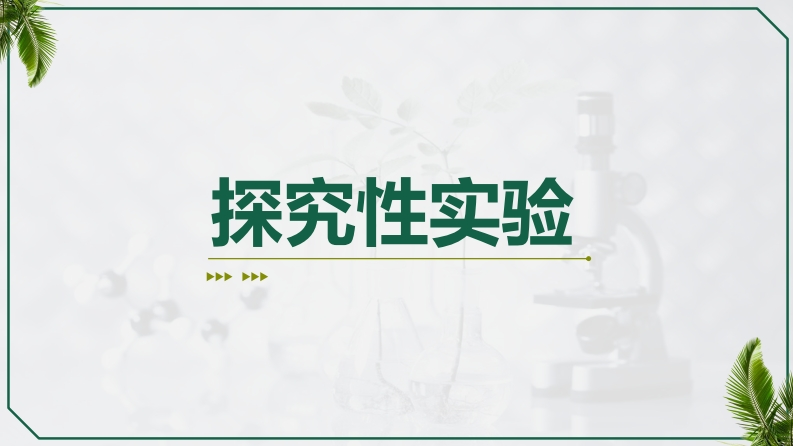探究性实验