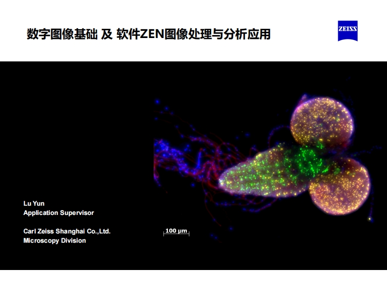 数字图像基础及软件ZEN图像处理与分析应用