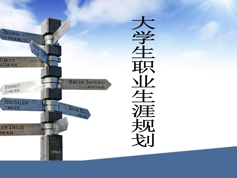 有关IT专业职业生涯规划模板