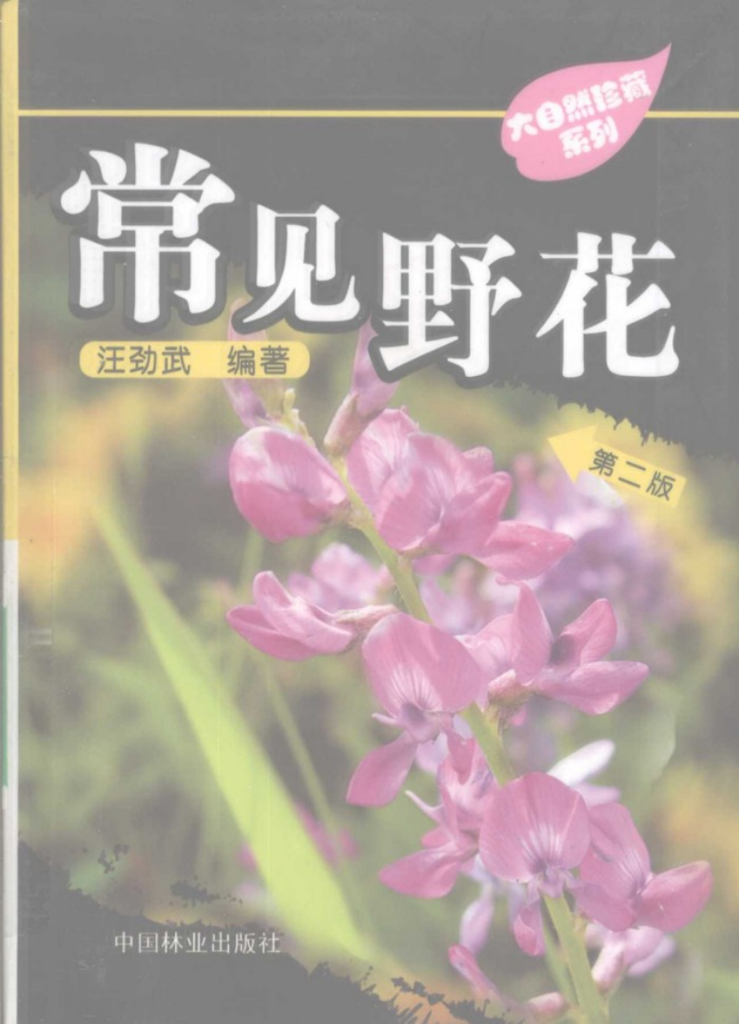 植物_常见野花_汪劲武