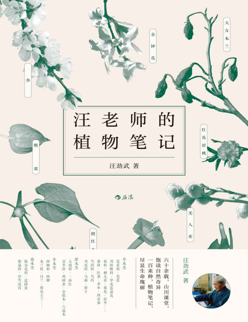 植物_汪老师的植物笔记_汪劲武