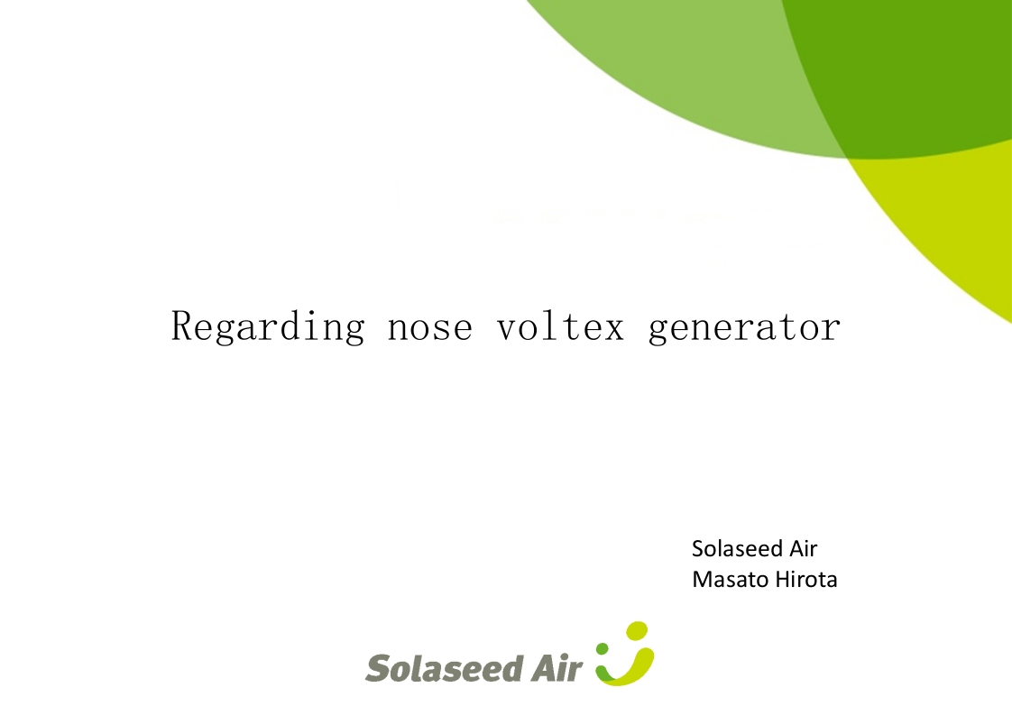 波音737飞机Regarding-nose-voltex-generator