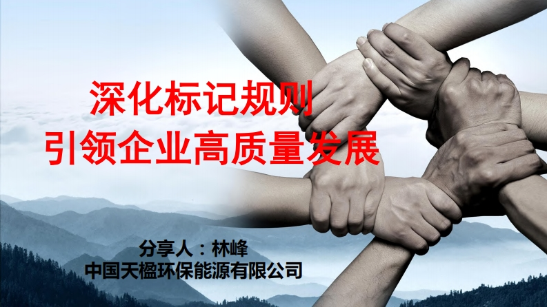 深化标记规则引领企业高质量发展现行国家强制性标准规范