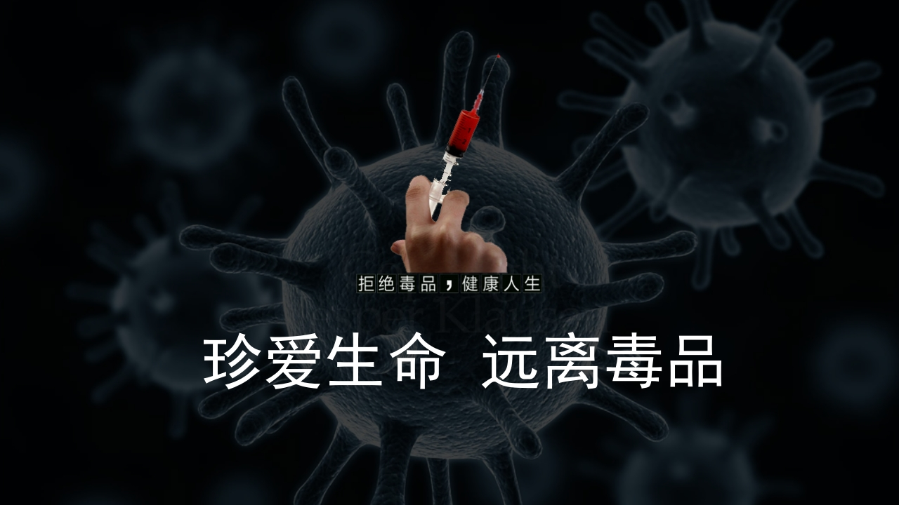 珍爱生命远离毒品-16