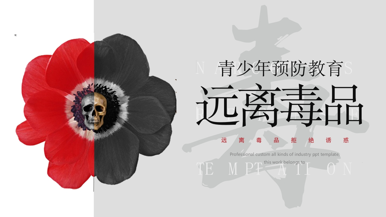 珍爱生命远离毒品-23