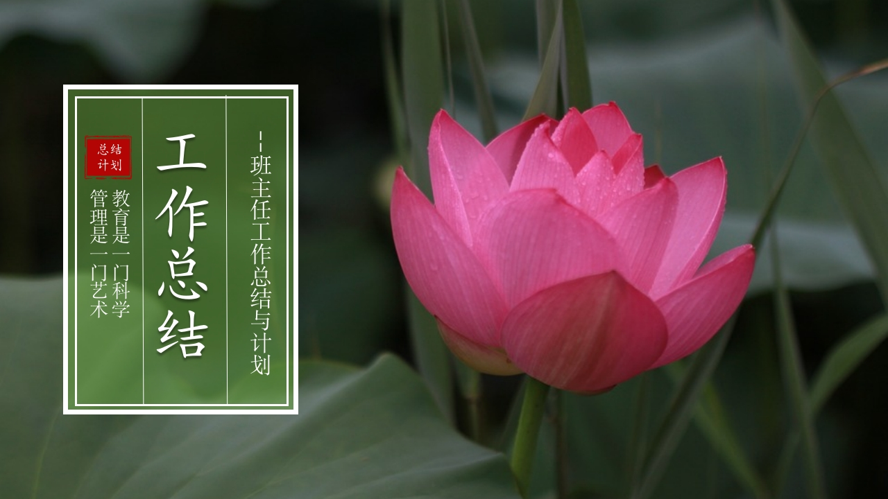 班主任工作总结06