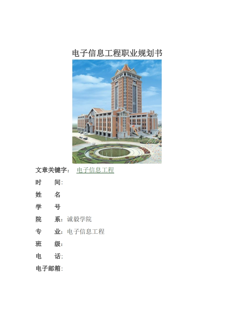 电子信息工程职业生涯规划书1